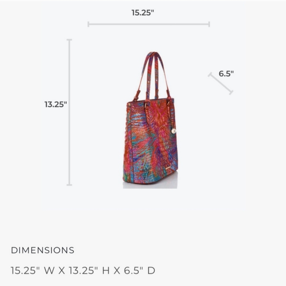 SOLD‼️‼️‼️Brahmin Rainbow Fish tote bag